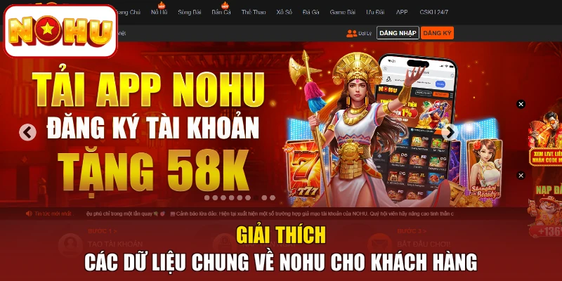 Giải thích các dữ liệu chung về NOHU cho khách hàng