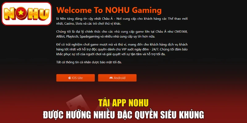 Tải app NOHU được hưởng nhiều đặc quyền siêu khủng
